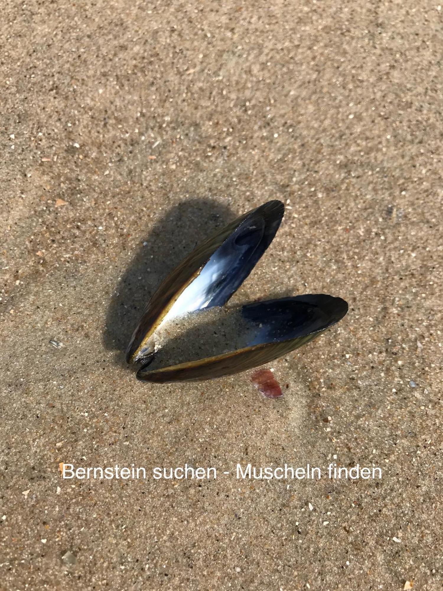 Eschen'S Allee Aurich Eksteriør billede